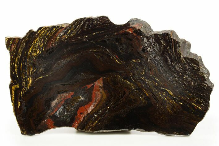Polished Tiger Iron Stromatolite Slab - Billion Years #317247